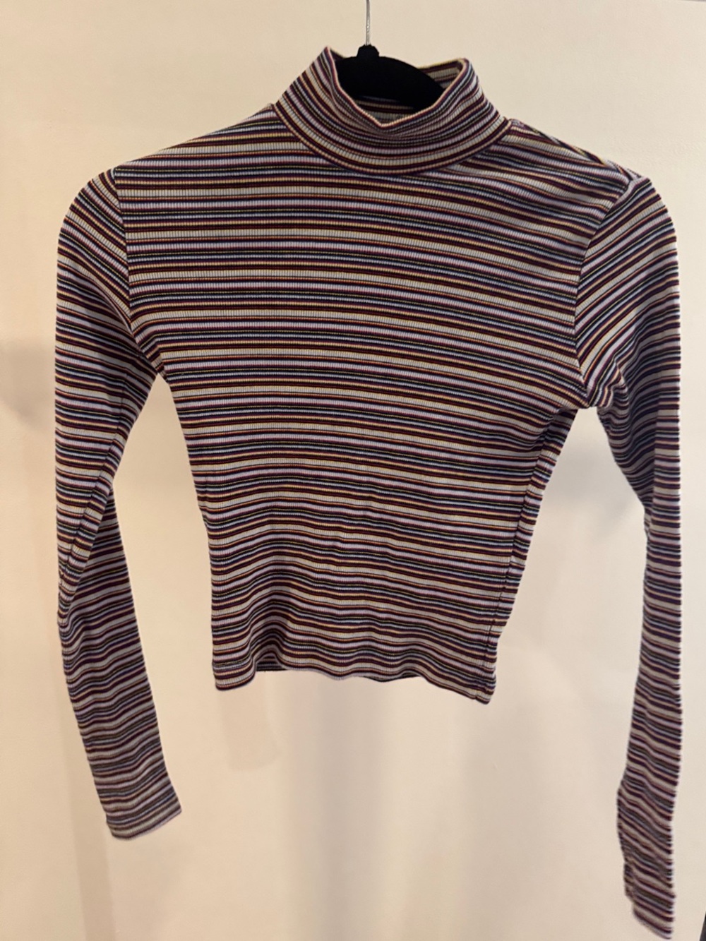 Brandy Melville Multistripe Turtleneck Crop Top